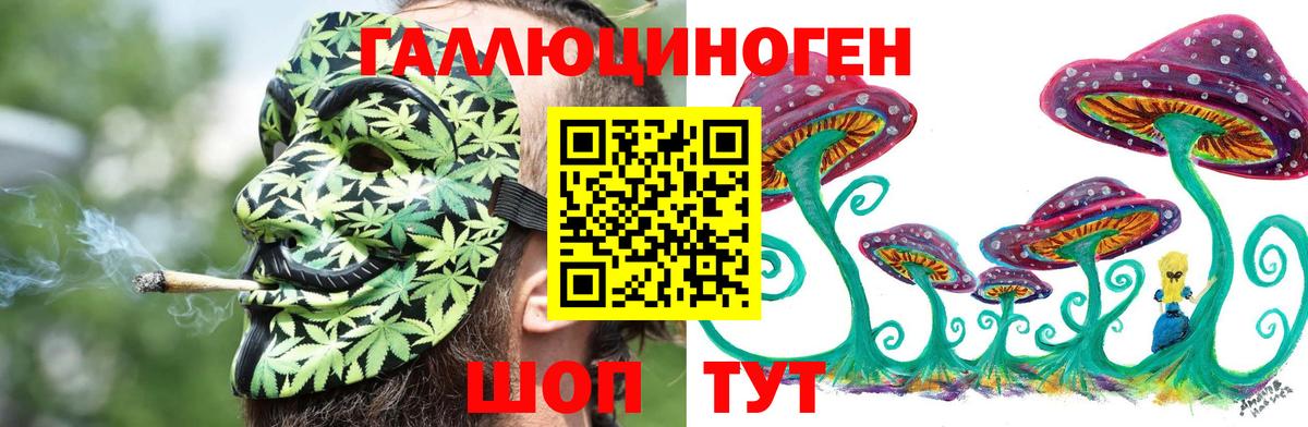 Галлюциногенные грибы прущие грибы Архангельск